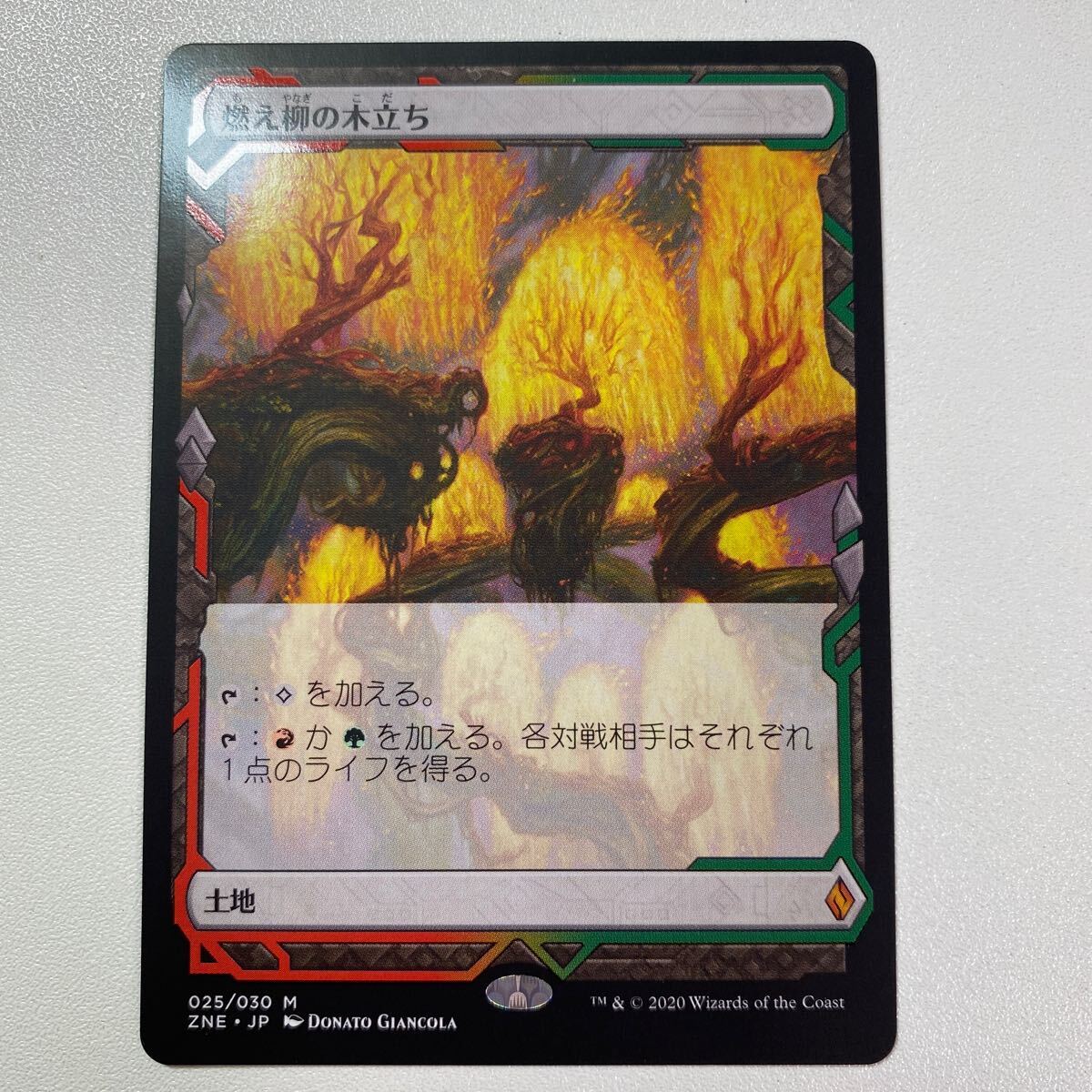 燃え柳の木立ち　日本語　MTG ゼンディカーの夜明けエクスペディション_画像1