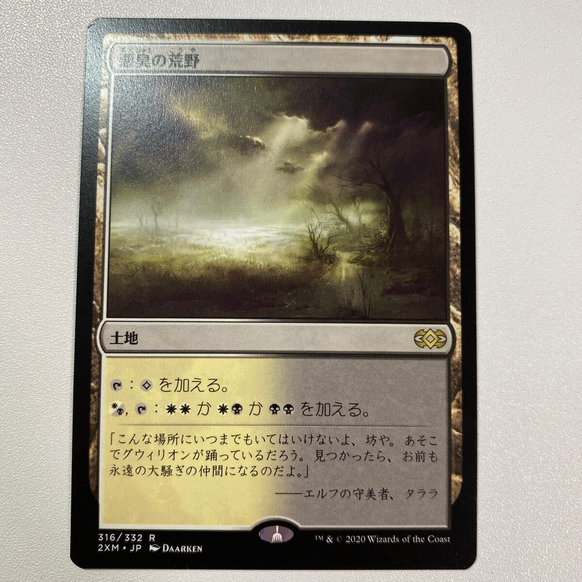 悪臭の荒野　日本語　MTG ダブルマスターズ _画像1