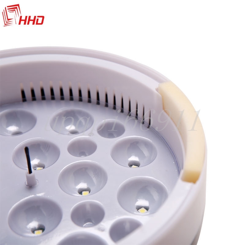  super popular *. egg vessel inspection egg light built-in in kyu Beta -LED liquid crystal child education for home use .. proportion up birds exclusive use . egg vessel hi width birth 9 piece automatic temperature system 