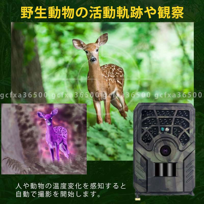防犯カメラ トレイルカメラ 小型 屋外 防水 防塵 IP66対応 1280p対応 赤外線LED 監視カメラ 動体検知 狩猟 人感センサー 夜間 熱感知_画像3
