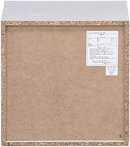 不二貿易(Fujiboeki) キューブボックス 2段 幅34.5×奥行29.5×高さ34.5cm ホワイト 収納 カラーボックス_画像5