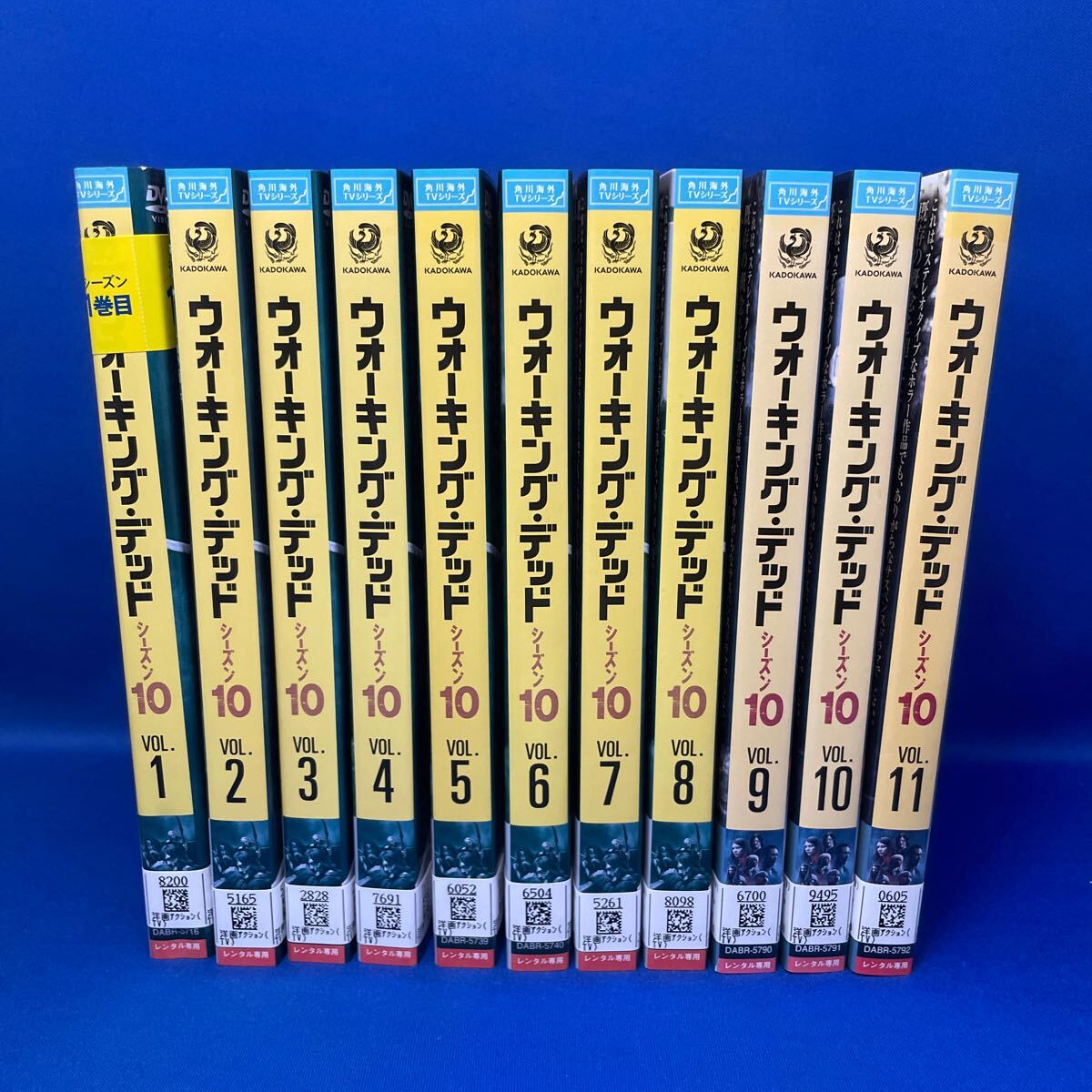 【DVD】ウォーキング デッド シーズン10 / 1-11巻 全巻セット 海外ドラマ レンタル落ち/ THE WALKING DEAD _画像1