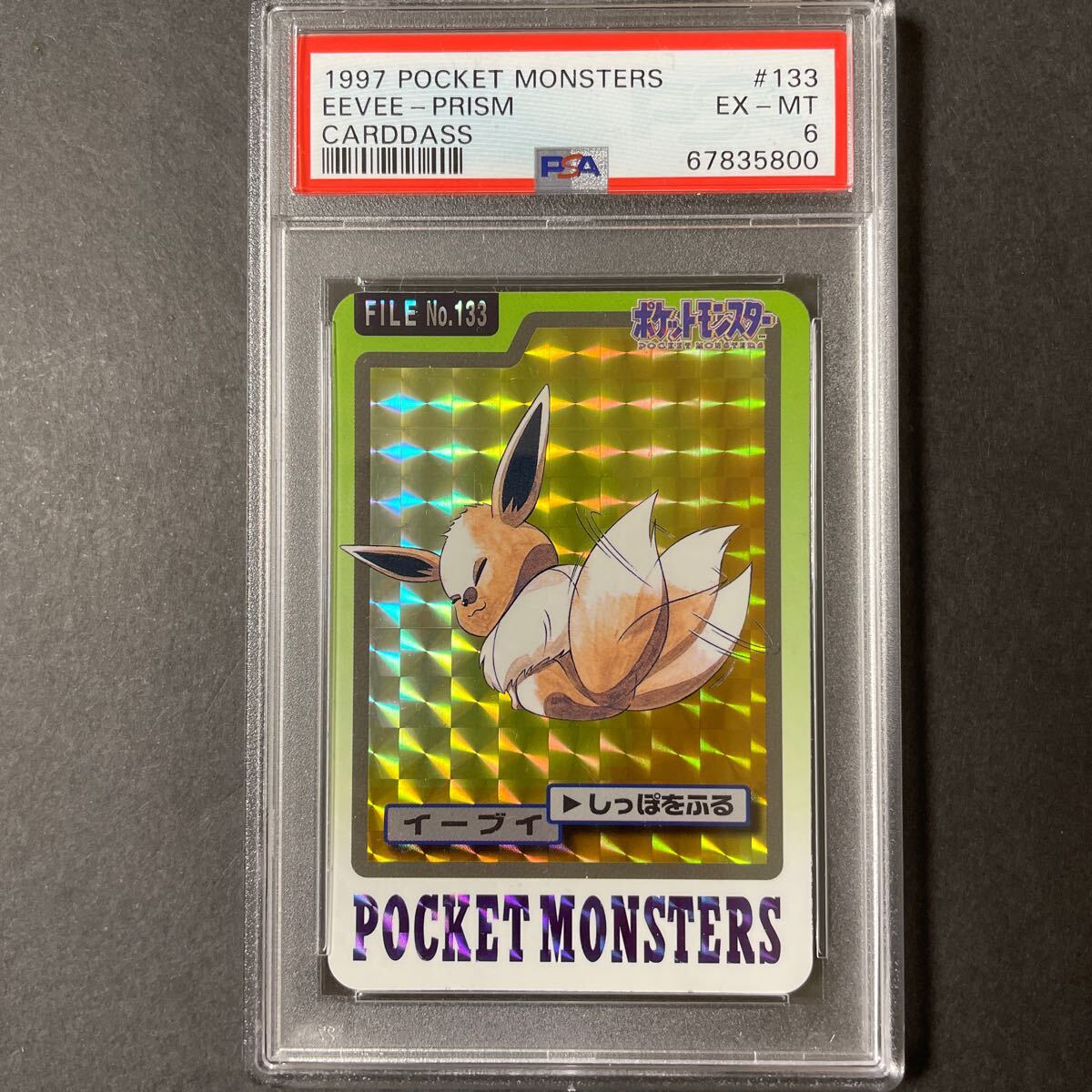 PSA6 ポケモンカード 1997 カードダス イーブイ Pokemon carddassの画像1