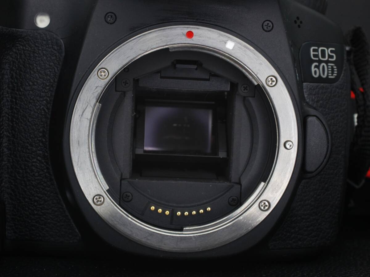 ★美品 CANON キヤノン EOS 60D EFS 55-250mm★80_画像4