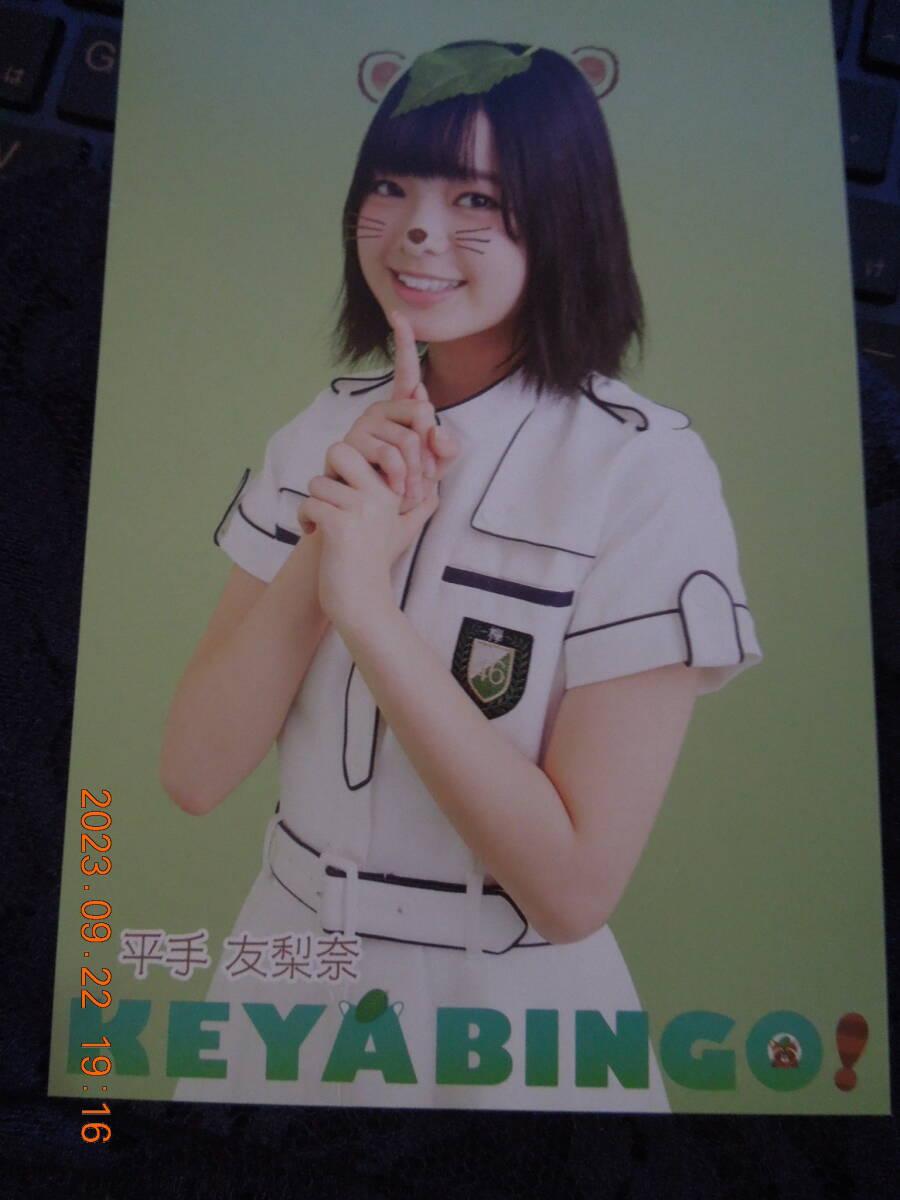 平手友梨奈 両面フォトカード /「全力!欅坂46バラエティー KEYABINGO! Blu-ray/DVD BOX」封入特典_画像2