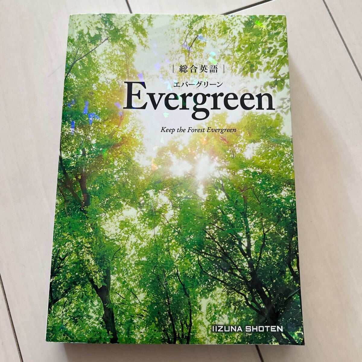 EVERGREEN エバーグリーン いいずな書店 高校総合英語 暗唱文例集 確認問題集 機能別文例集の画像2