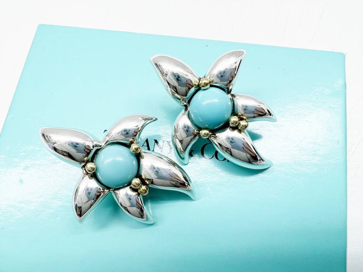 レア　良好品　TIFFANY&Co　ティファニー　ヴィンテージ　スターフィッシュ　コンビ　ターコイズ　イヤリング　925　750_画像1