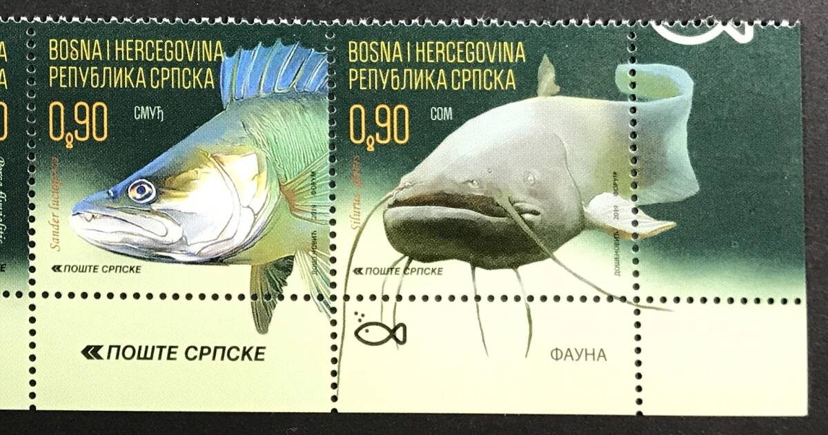 ボスニアヘルツェゴビナ 2019年発行 魚 切手 未使用 NH_画像3