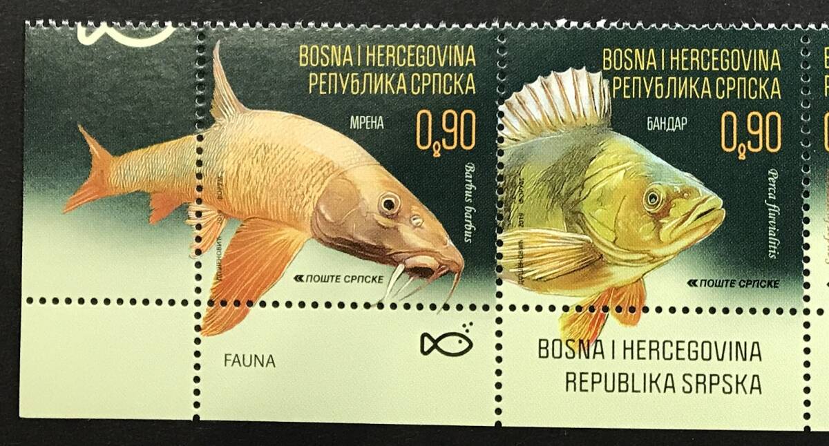 ボスニアヘルツェゴビナ 2019年発行 魚 切手 未使用 NH_画像2