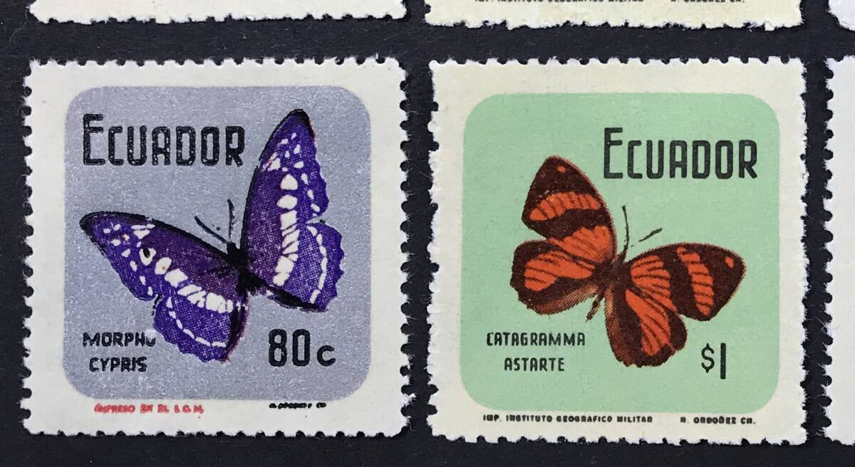 エクアドル 1970年発行 蝶 切手 未使用 NH 写真より黄色いですの画像5