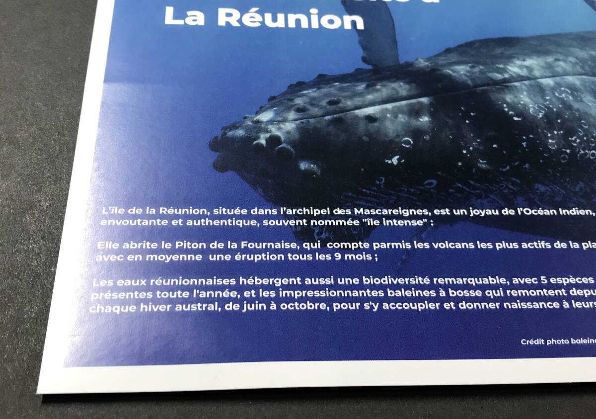 フランス 2023年発行 クジラ カメ P stamp 切手 未使用 NHの画像7
