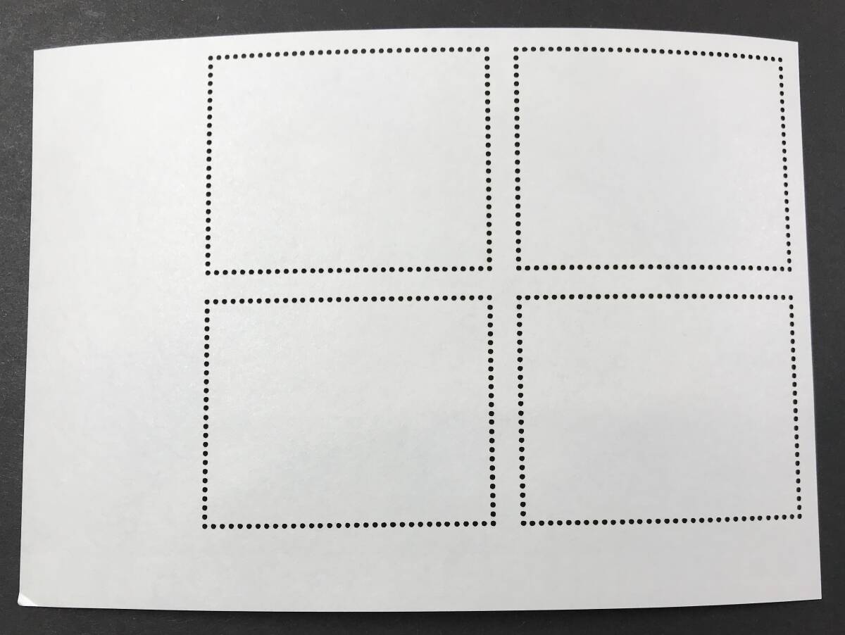 ブルキナファソ 2023年発行 カメ 切手 (1) 未使用 NHの画像4
