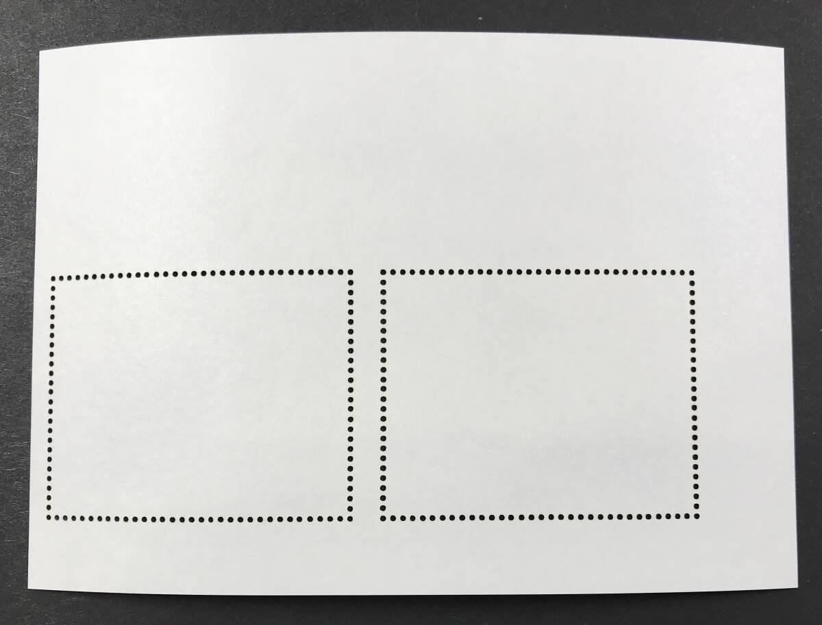 ブルキナファソ 2023年発行 カメ 切手 (2) 未使用 NHの画像3