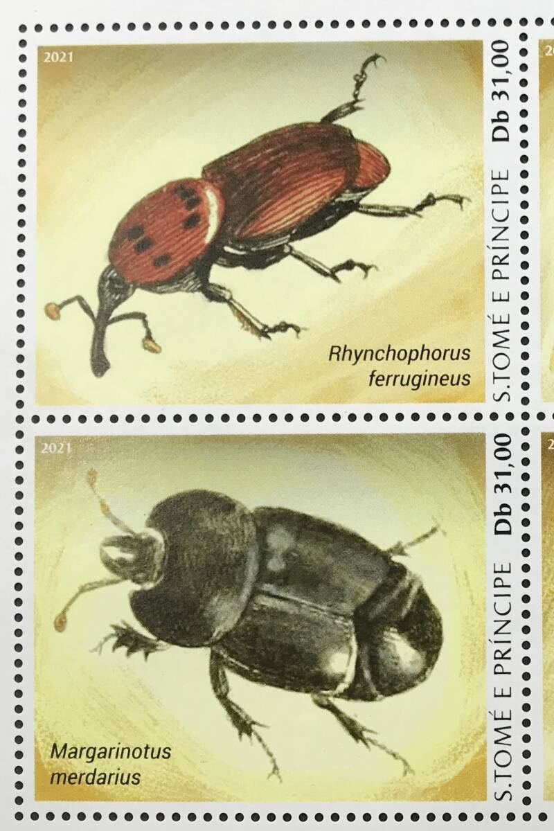 サントメプリンシペ 2021年発行 昆虫 切手 未使用 NHの画像2