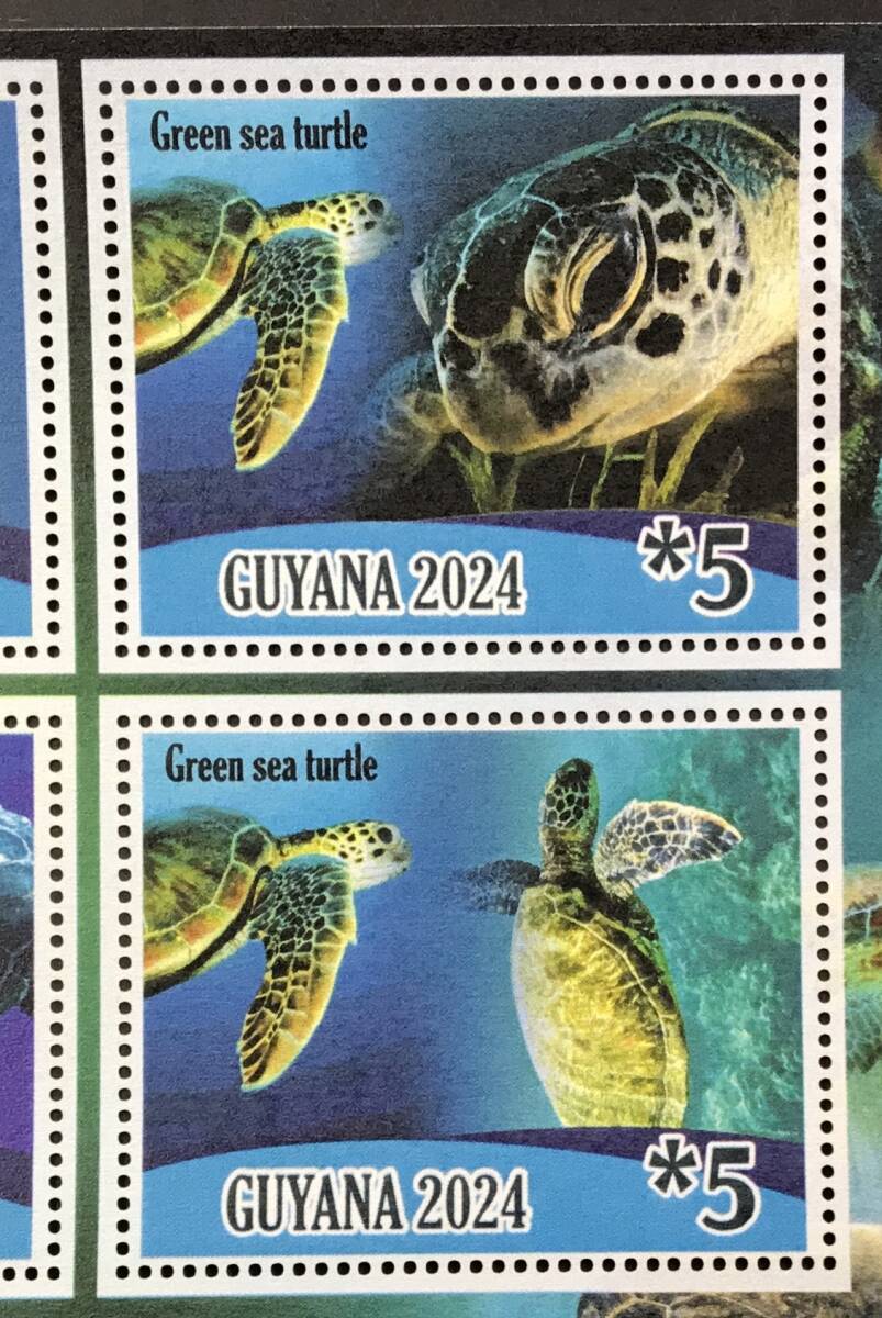 ガイアナ 2024年発行 カメ 切手 (1) 未使用 NHの画像3