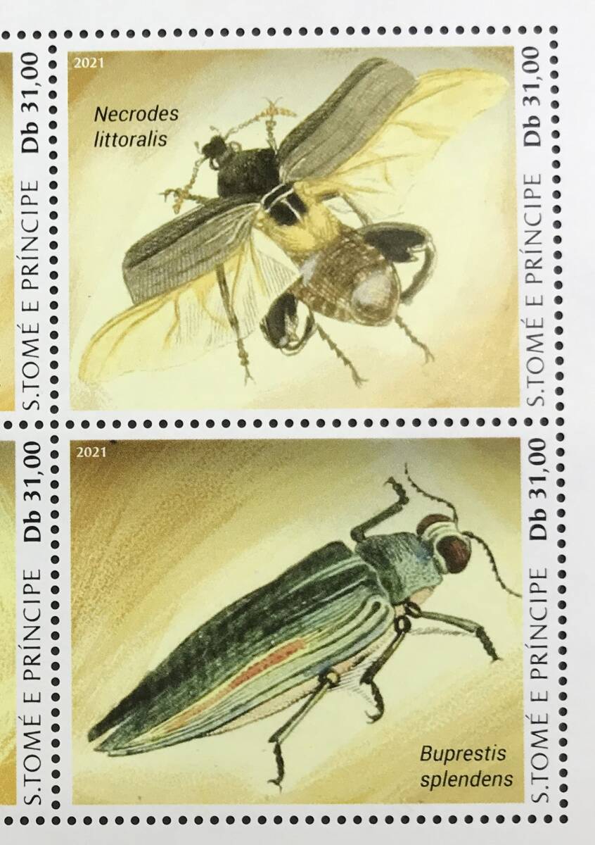 サントメプリンシペ 2021年発行 昆虫 切手 未使用 NHの画像3