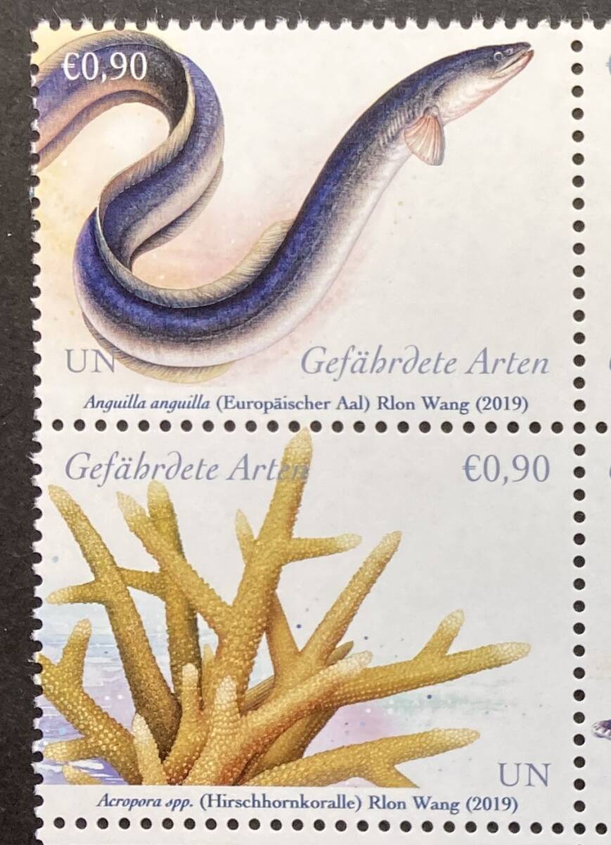 国連 ウイーン事務局 2019年発行 魚 カメ 海の生物 切手 未使用 NH_画像2