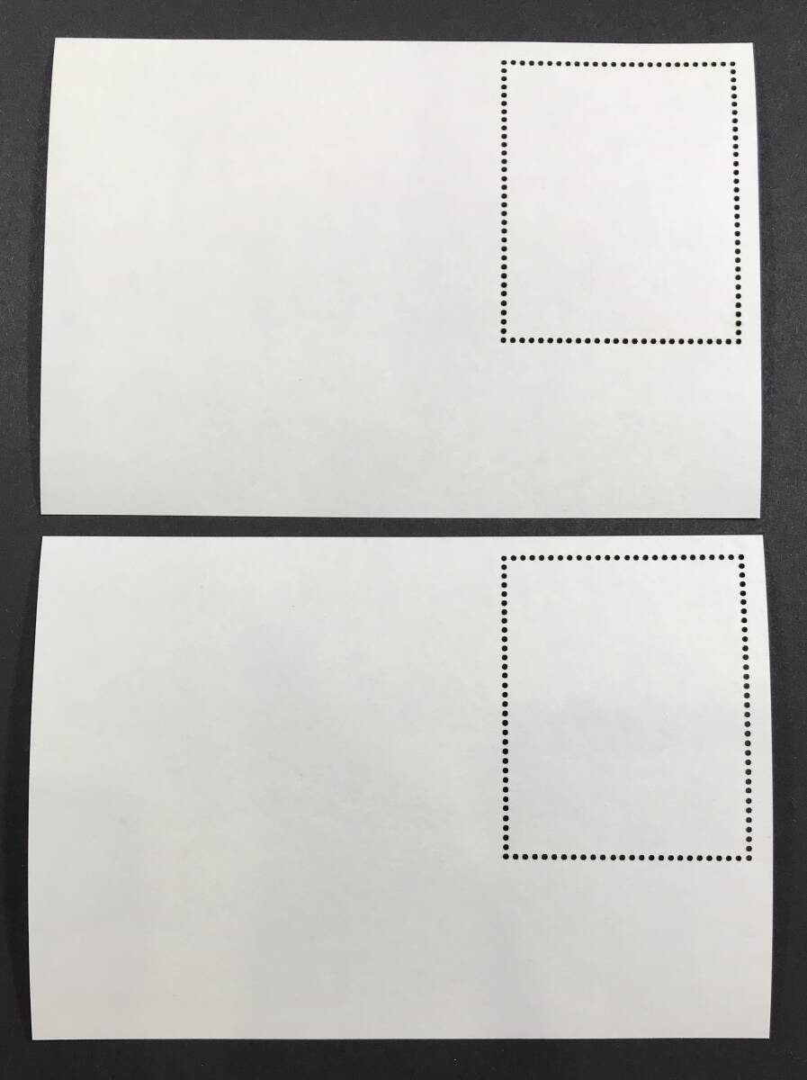 マリ 2023年発行 カメ 切手 小型シート (2) 未使用 NHの画像4