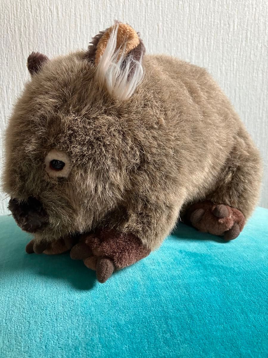 ウォンバットぬいぐるみRussell ミンクプラッシュオーストラリア ウォンバットぬいぐるみRussell ミンクプラッシュオーストラリア