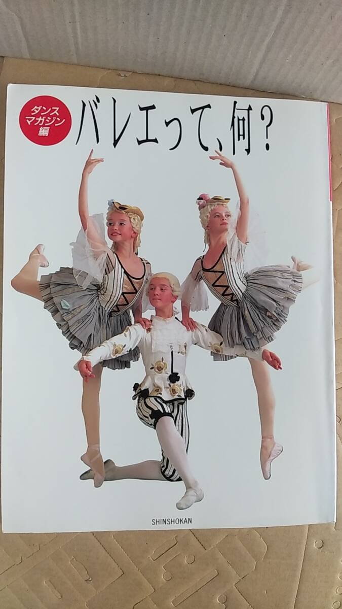 書籍/バレエ、ダンス、芸術　ダンスマガジン編「バレエって何？」 1997年6刷　新書館　中古_画像1
