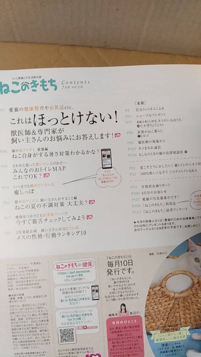 書籍/雑誌、猫、ペット　ねこのきもち 2018年7月号 これはほっとけない！獣医師＆専門家が飼い主さんのお悩みにお答えします　付録あり_画像3