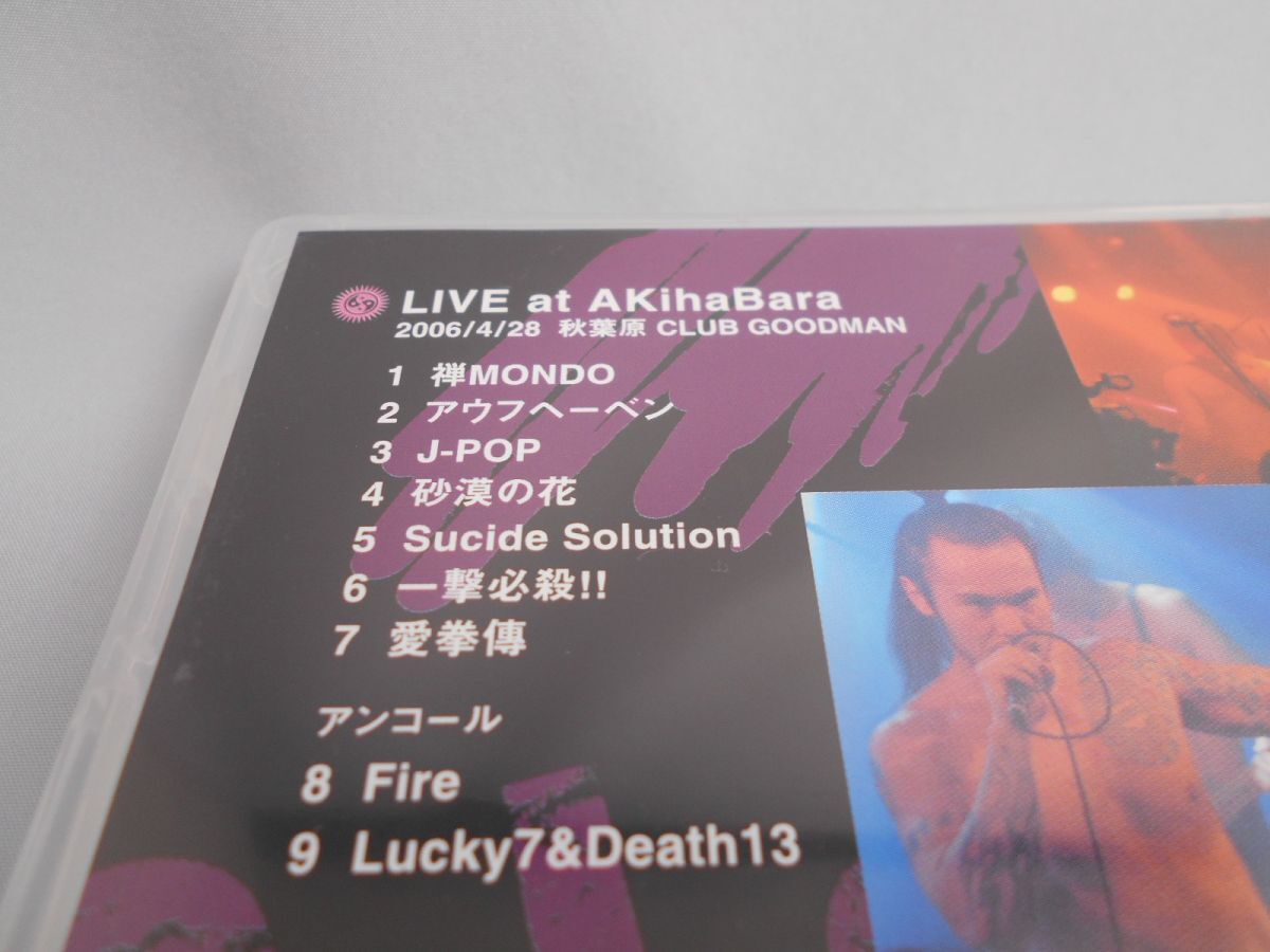 LIVE at AKihaBara / コロバ・ミルク・バー [DVD]_画像4