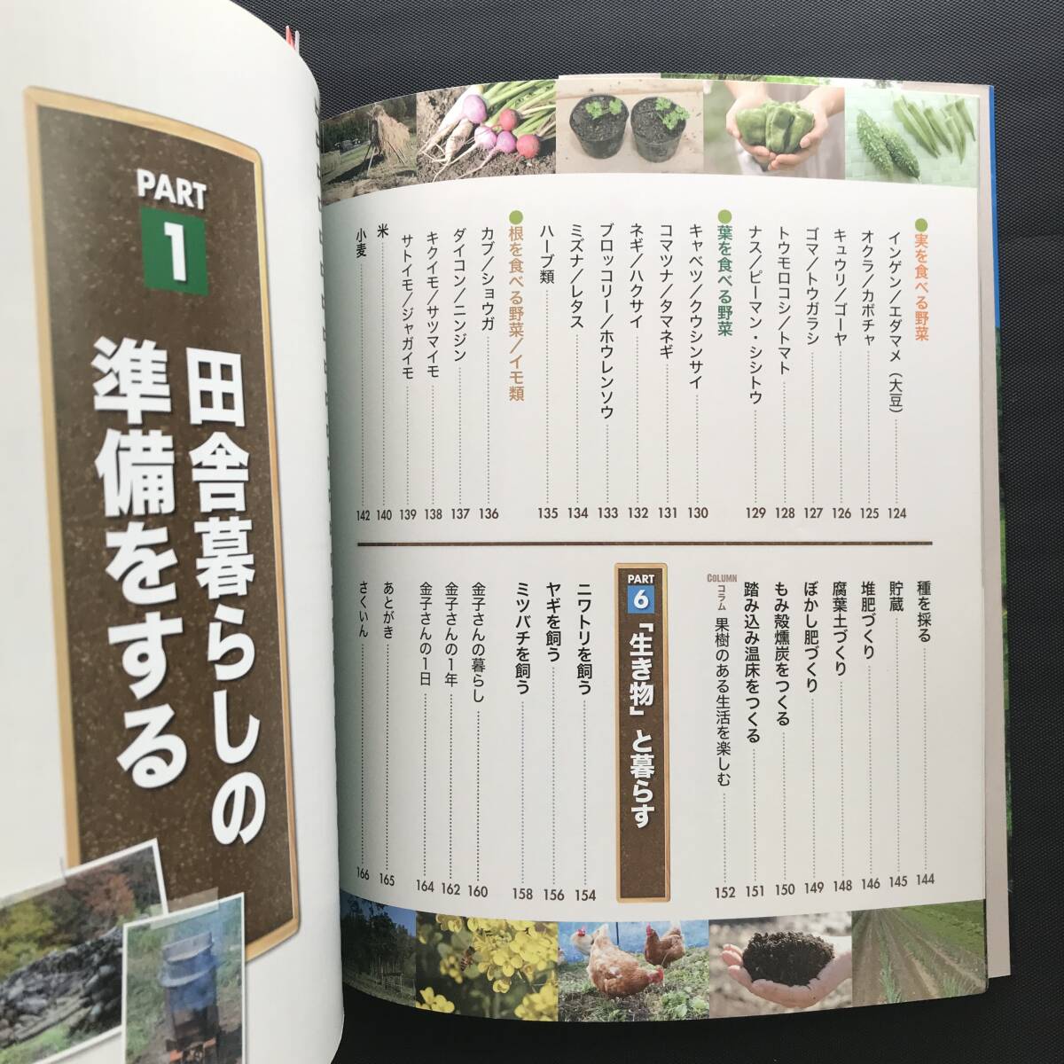 417 週末田舎暮らしの便利帳 憧れの悠々自適生活 金子美登 417 週末田舎暮らしの便利帳 憧れの悠々自適生活 金子美登