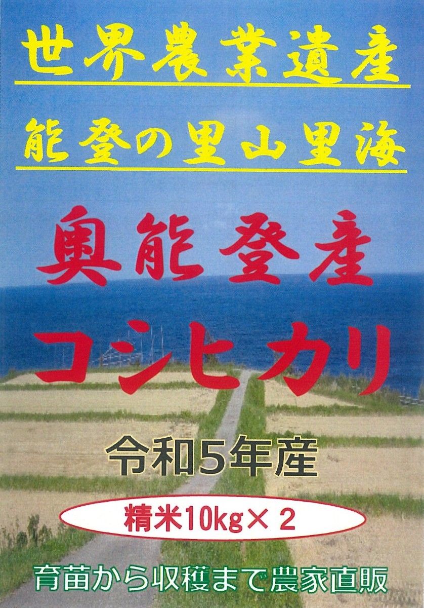 奥能登産コシヒカリ精米20㎏(10㎏×2) 令和5年産