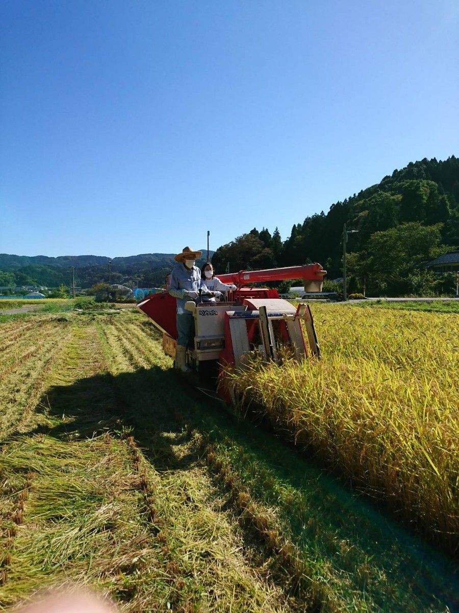 奥能登産コシヒカリ玄米23㎏令和5年産