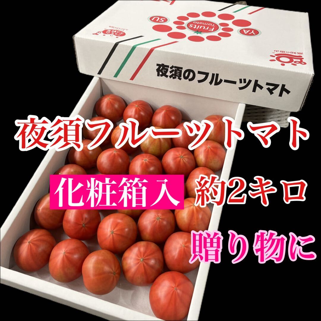 化粧箱入 高知県産 夜須のフルーツトマト約2キロ 20玉から30玉前後 送料無料の画像1