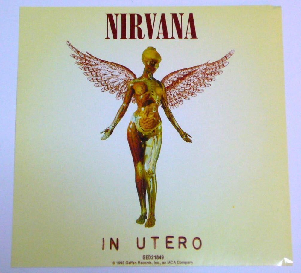 Nirvana / NEVERMIND & IN UTERO SINGLES 6CD_画像6