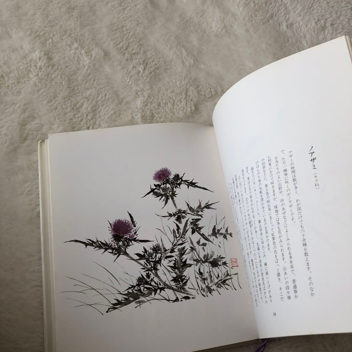 墨で描く　四季の花　第ニ集