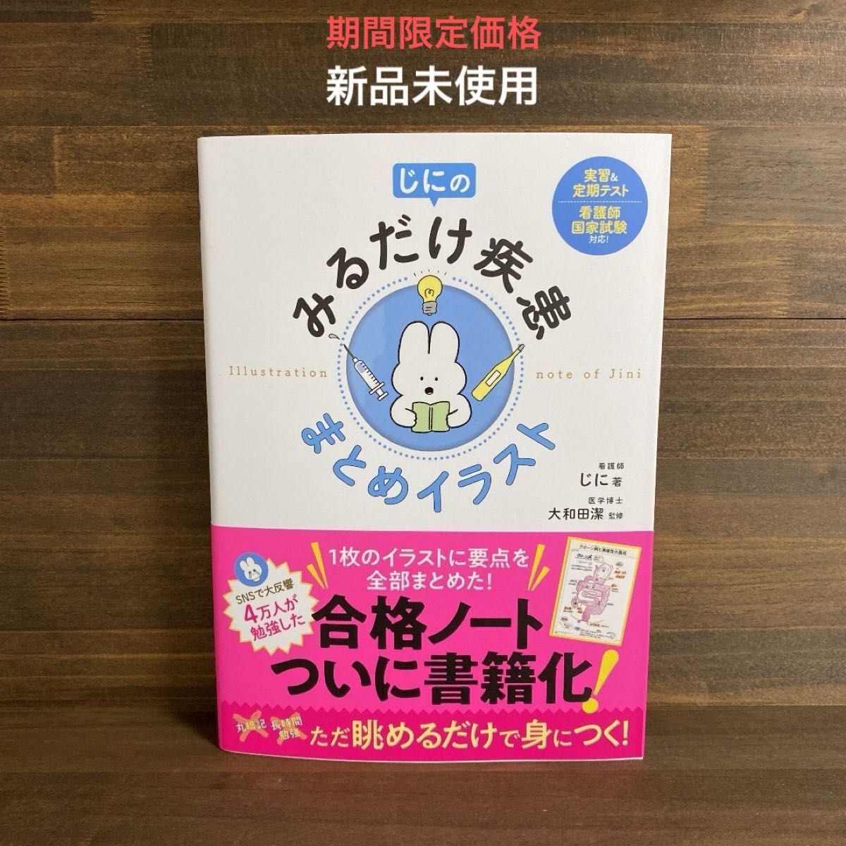 新品未使用☆じにのみるだけ疾患 まとめイラス