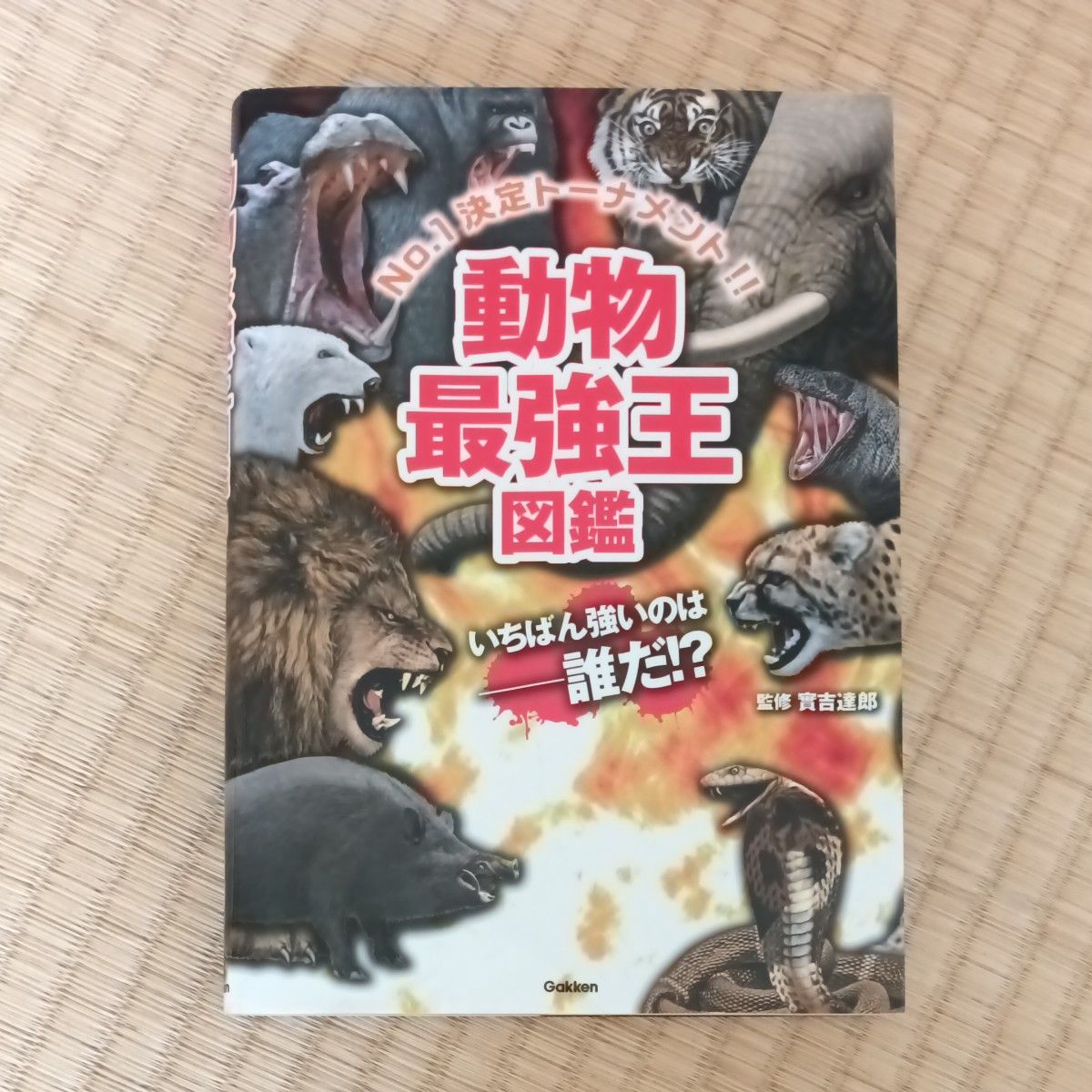 動物最強王図鑑　Ｎｏ．１決定トーナメント！！