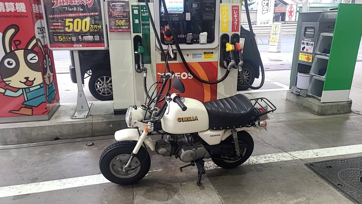 HONDA　GORILLA　ホンダ　ゴリラ車体　純正　実働　12V_画像1