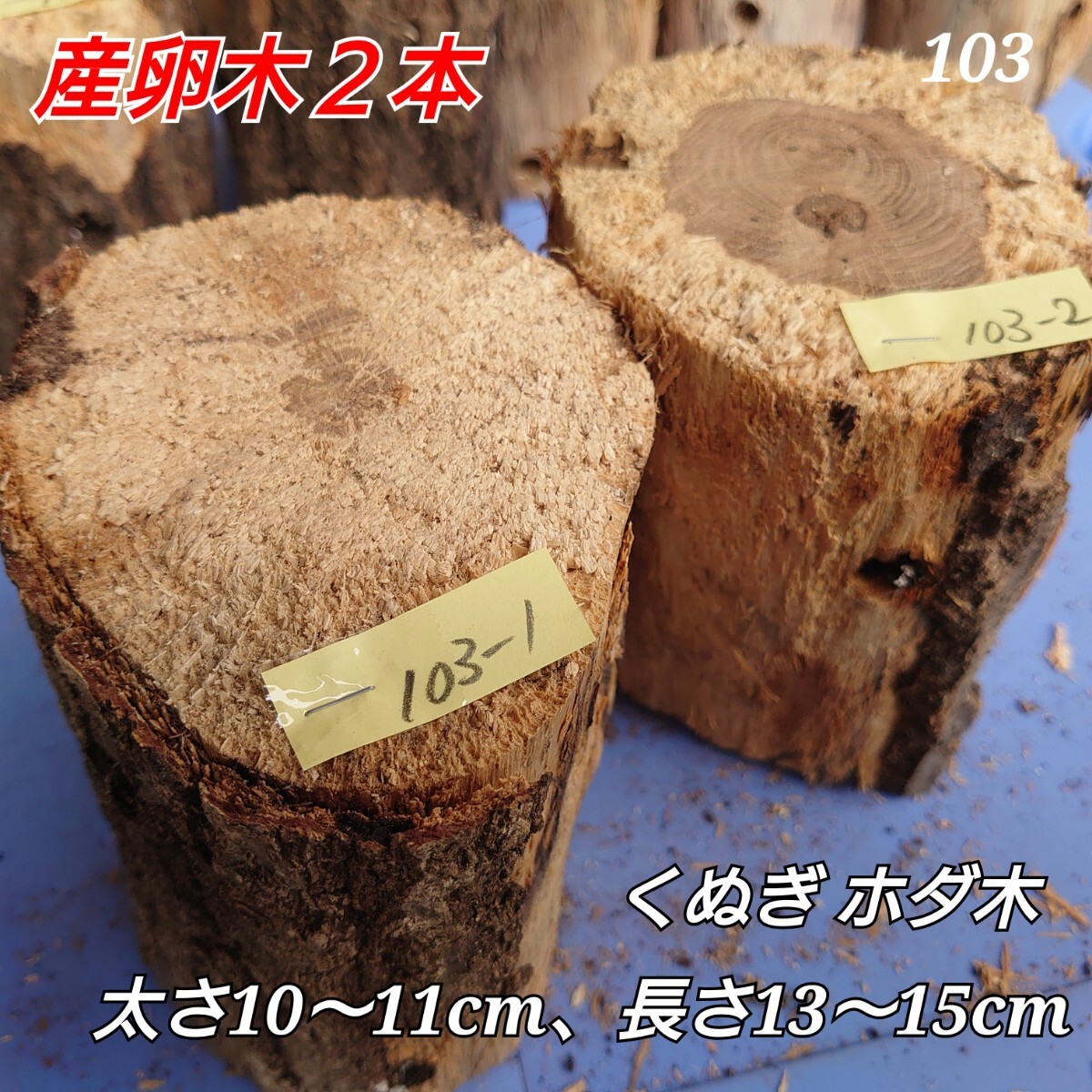 [ включая доставку ] производство яйцо дерево N103... 2 шт ho da дерево древесина нобори дерево . поэтому 