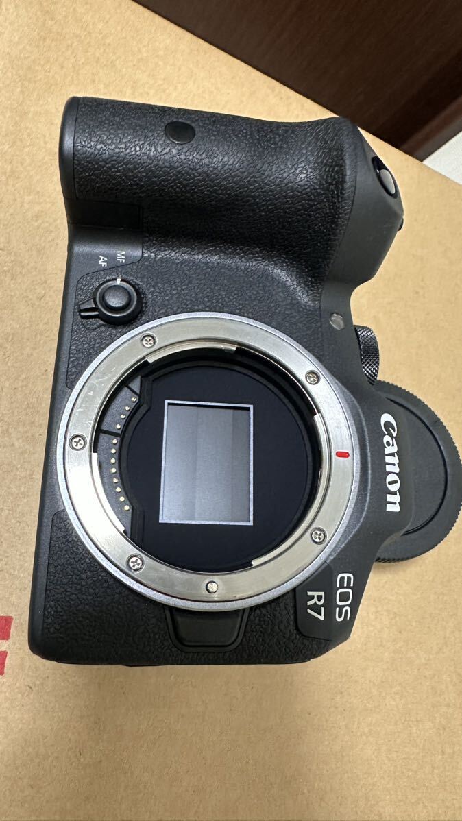 29000円 美品 キャノン Canon R7ボディ 予備バッテリーLP-E6N2個 29000円 美品 キャノン Canon R7ボディ 予備バッテリーLP-E6N2個