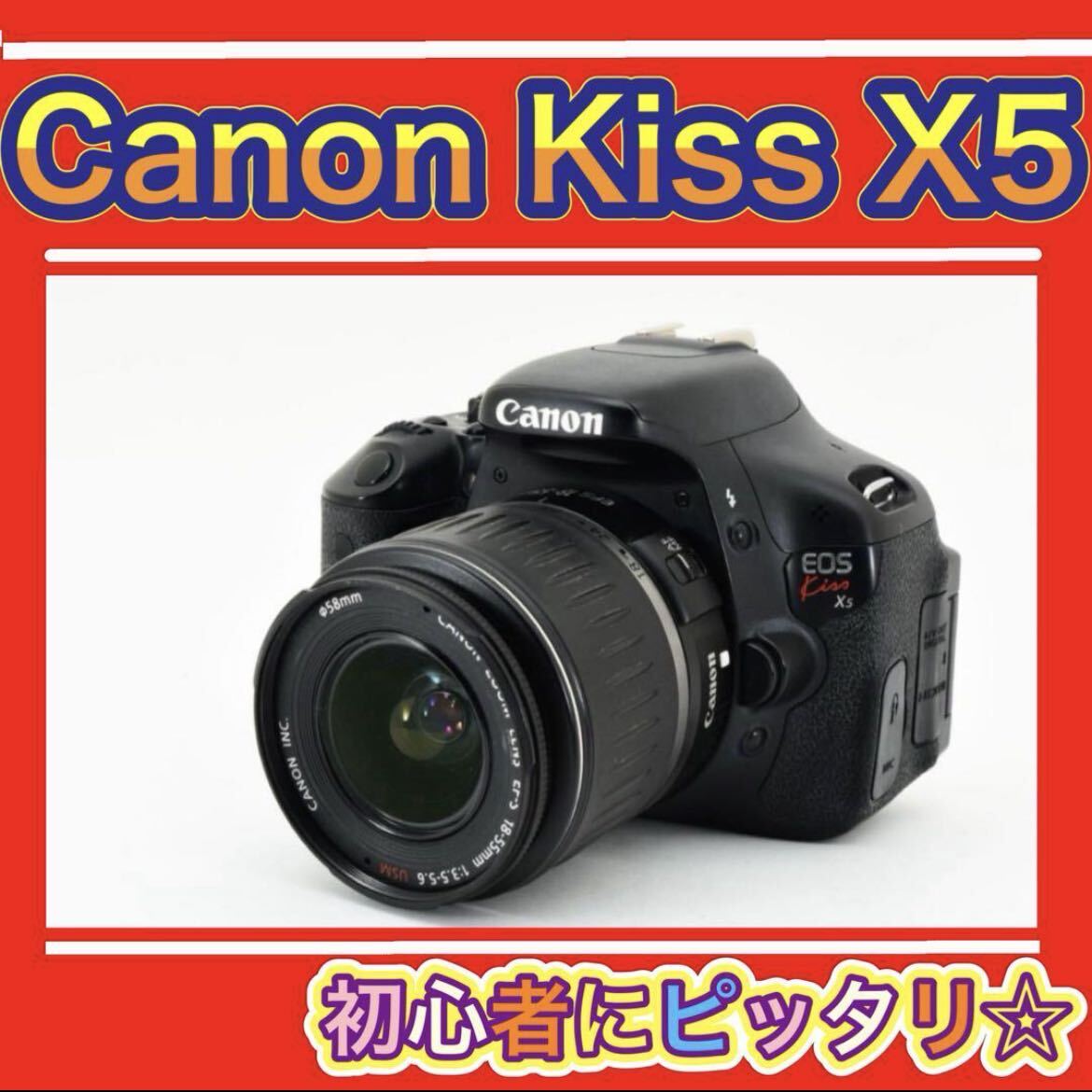 Canon EOS-1D Mark III キャノン イオス 箱 DR-E4 AC-E4 LC-E4 Canon EOS-1D Mark III キャノン イオス 箱 DR-E4 AC-E4 LC-E4