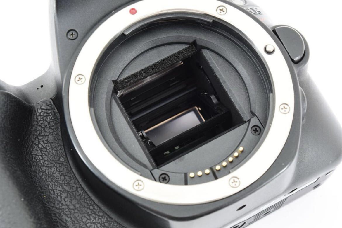 23793円 Canon キャノン Kiss X9 ダブルレンズセット EF 28-80 23793円 Canon キャノン Kiss X9 ダブルレンズセット EF 28-80