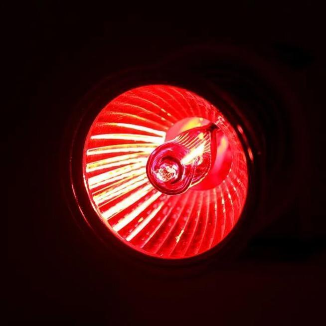 75W* маленький размер инфракрасные лучи свет 1 шт ( микро in fla красный ) нагрев свечение B0561