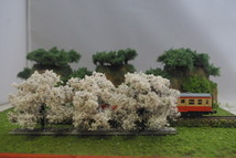 .鉄道、建築模型　ジオラマ　樹木　ソメイヨシノ　桜並木（中）_画像5