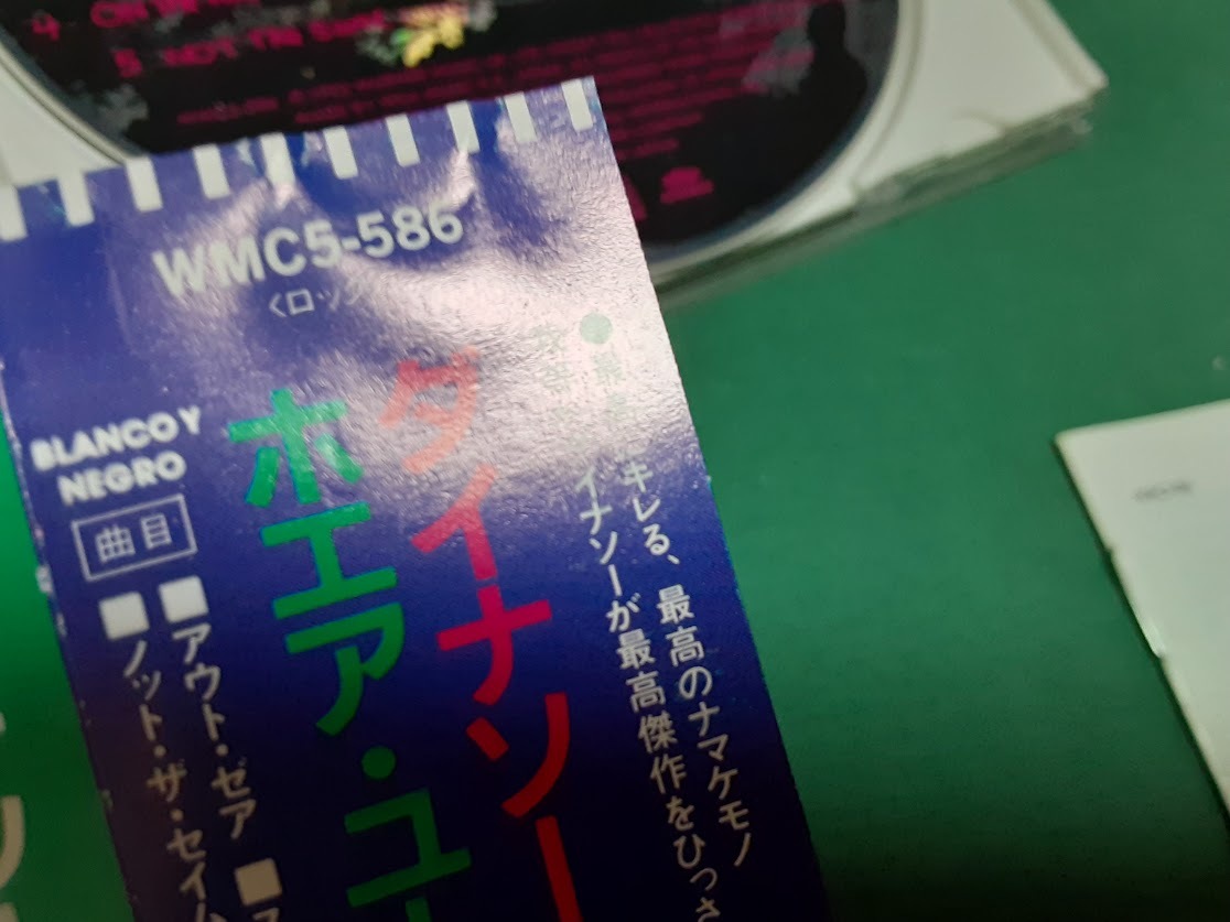 Dinosaur, Jr.　ダイナソーJR.◆『ホエア・ユー・ビーン』日本盤CDユーズド品_画像3