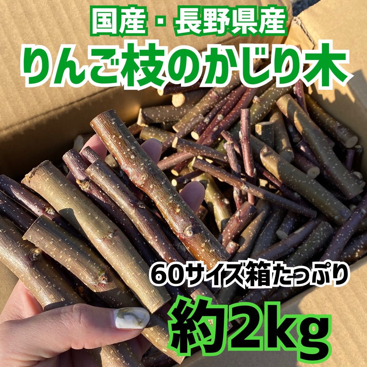 ★送料込み りんご かじり木 2kg うさぎ チンチラ ハムスター 小動物 1