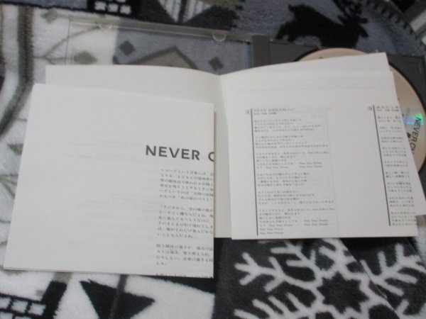 長渕剛 / NEVER CHANGE【CD・9曲】(1)ステイ・ドリーム(2)僕のギターにはいつもヘビーゲージ(3)あんたとあたいは数え唄(4)逆流(5)乾杯～の画像4