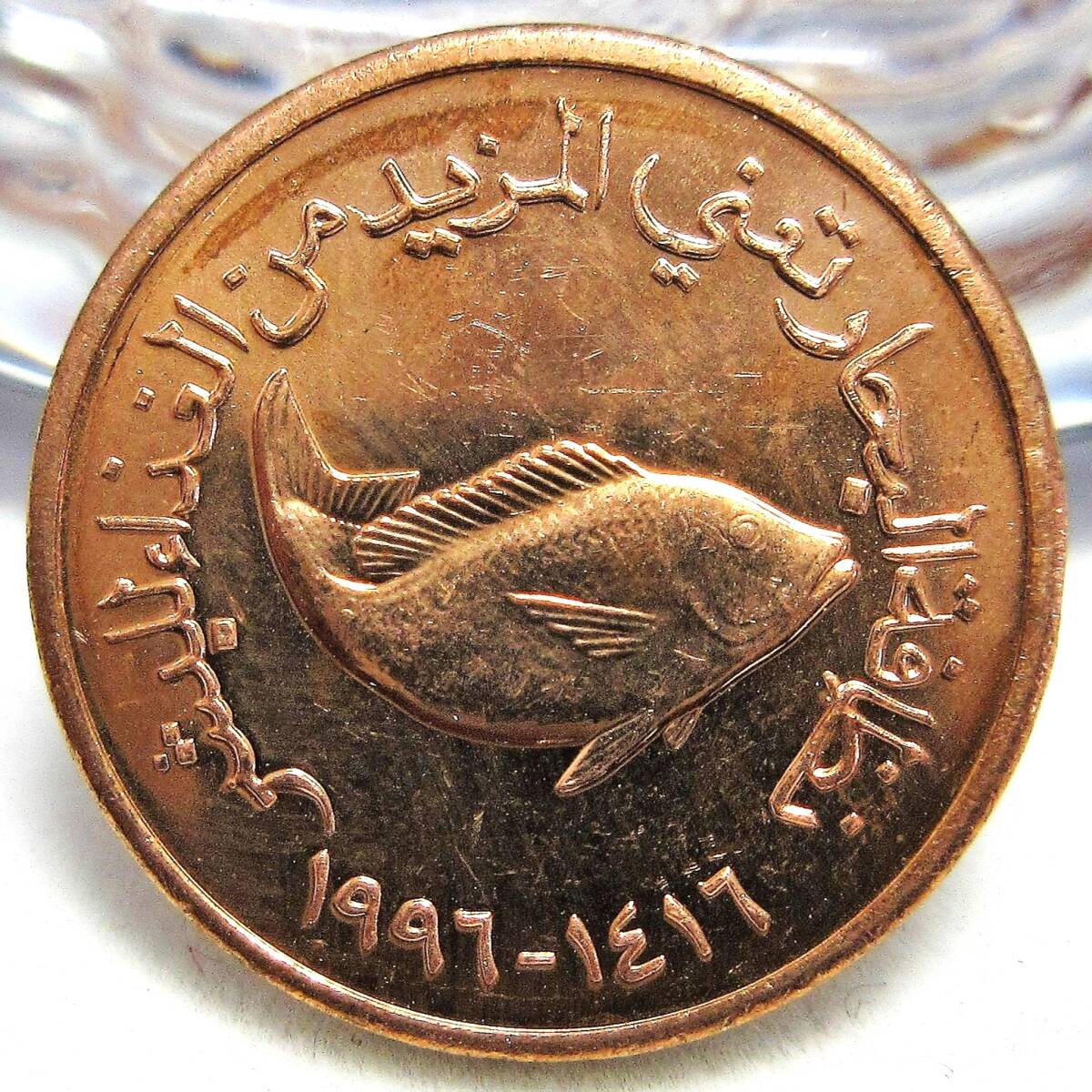 アラブ首長国連邦 5フィル 1996年 FAO 17.00mm 2.22g_画像1
