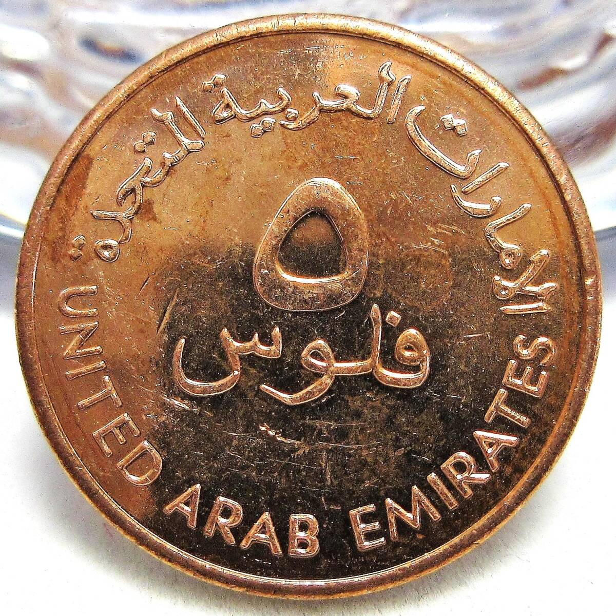 アラブ首長国連邦 5フィル 1996年 FAO 17.00mm 2.22g_画像2