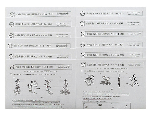 Yahoo!オークション - 浜学園 小4 理科 公開学力テスト 第539回 Yahoo!オークション - 浜学園 小4 理科 公開学力テスト 第539回