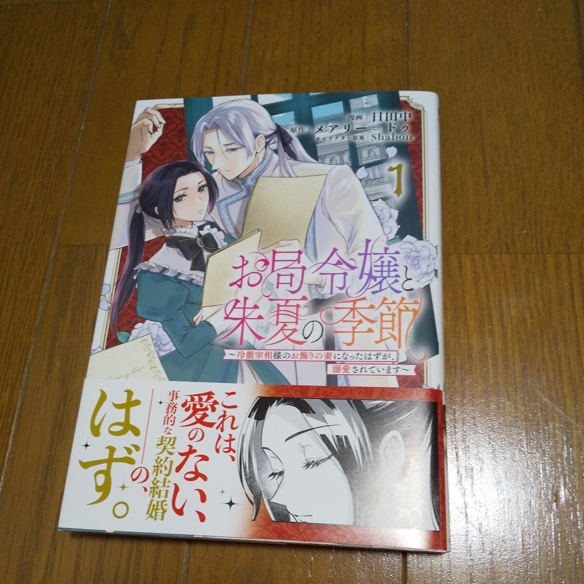 お局令嬢と朱夏の季節 冷徹宰相様のお飾りの妻になったはずが、溺愛されています １ （ＥＡＲＴＨ ＳＴＡＲ ＣＯＭＩＣＳ） 日田中の画像1