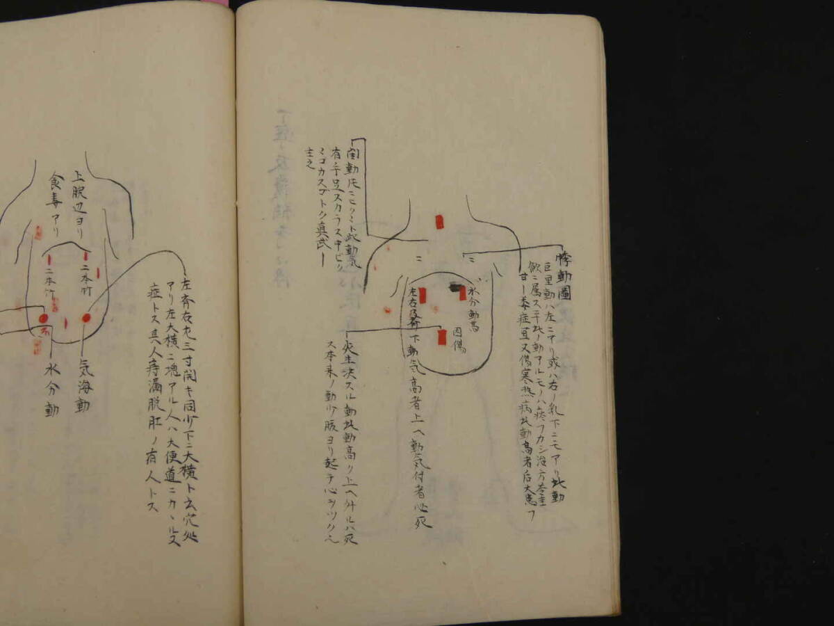 浅井家腹診書并図 江戸末期頃写 ２２丁 漢方 写本 古文書の画像8