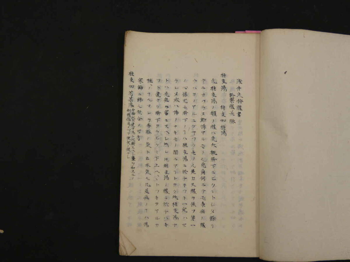 浅井家腹診書并図 江戸末期頃写 ２２丁 漢方 写本 古文書の画像2